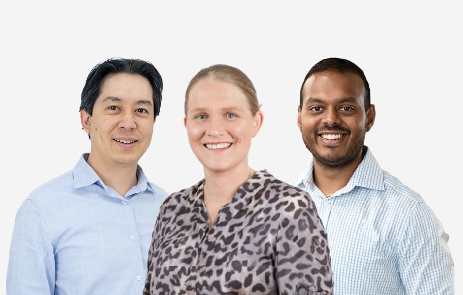 Meet the team Meet the team